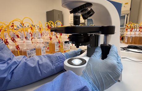 Guarda Lab